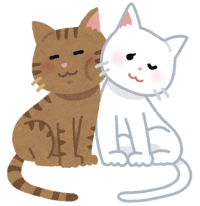 nakayoshi_cats_couple