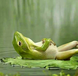 tired-frog